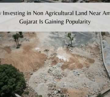 Non agricultural land near ambaji gujarat